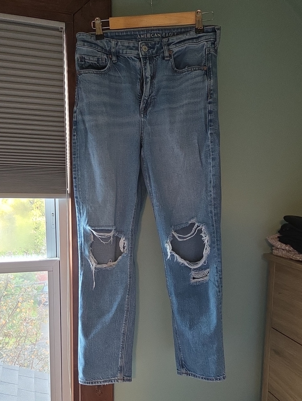 American Eagle Outfitters Strigid Mom Jean - Size 8
